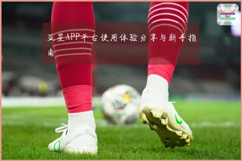亚星APP平台使用体验分享与新手指南