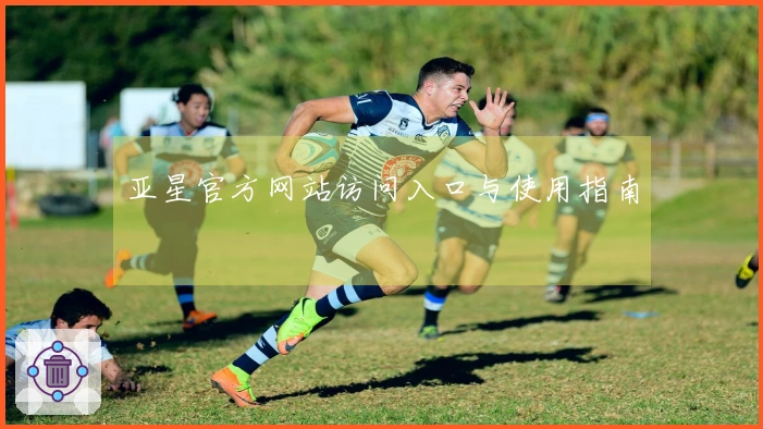 亚星官方网站访问入口与使用指南