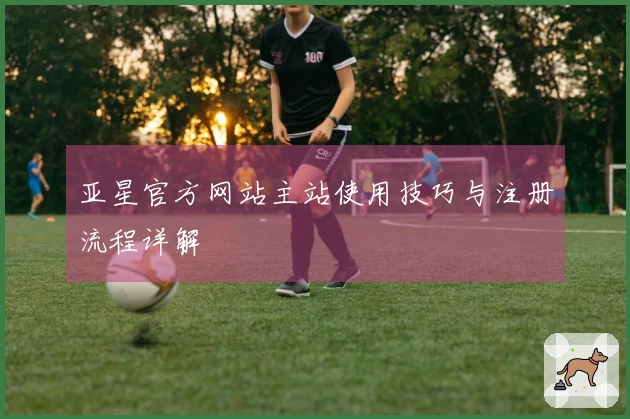 亚星官方网站主站使用技巧与注册流程详解