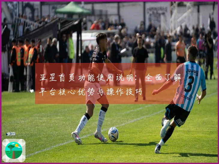 亚星首页功能使用说明：全面了解平台核心优势与操作技巧